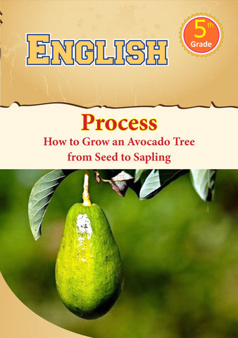 English Grade 5 - Process