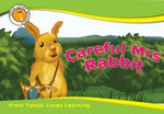 Careful Mrs Rabbit